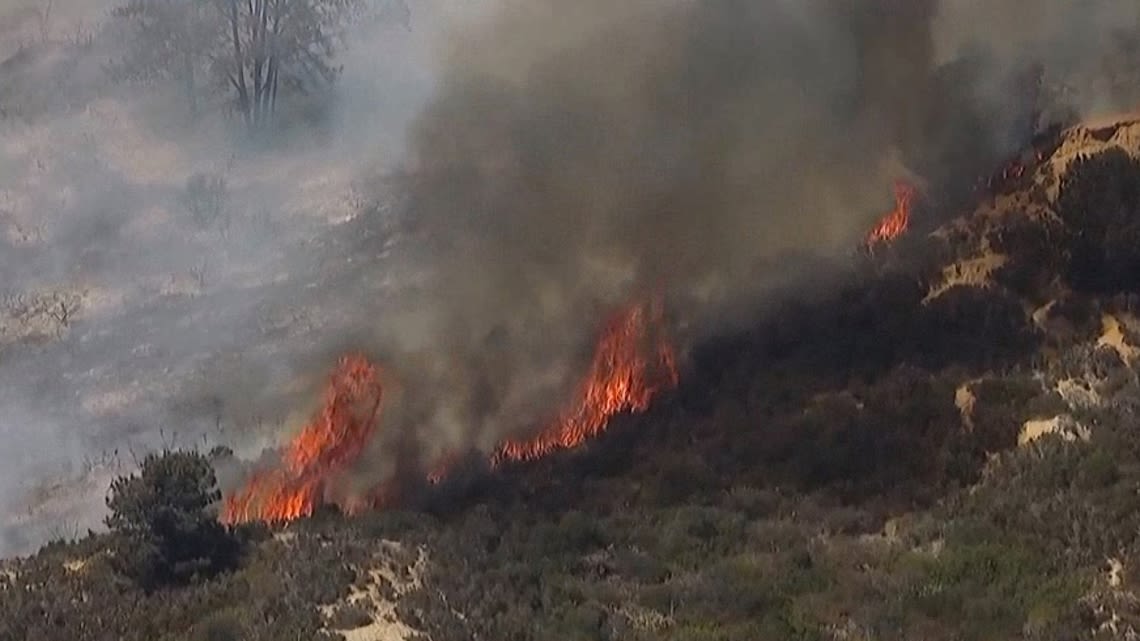 Firefighters responding to brush fire near Del Mar Heights