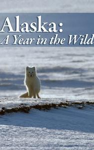 Alaska: A Year in the Wild