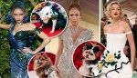 Haute dog couture: Pet Gala channels Zendaya, Gigi Hadid and more with Met gown re-creations