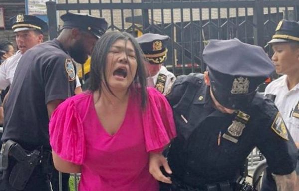 Brooklyn Councilwoman Susan Zhuang busted for biting NYPD chief at shelter protest