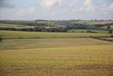 Lincolnshire Wolds