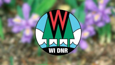 Wisconsin DNR issues incidental take notice for rare, endangered plant in Door County