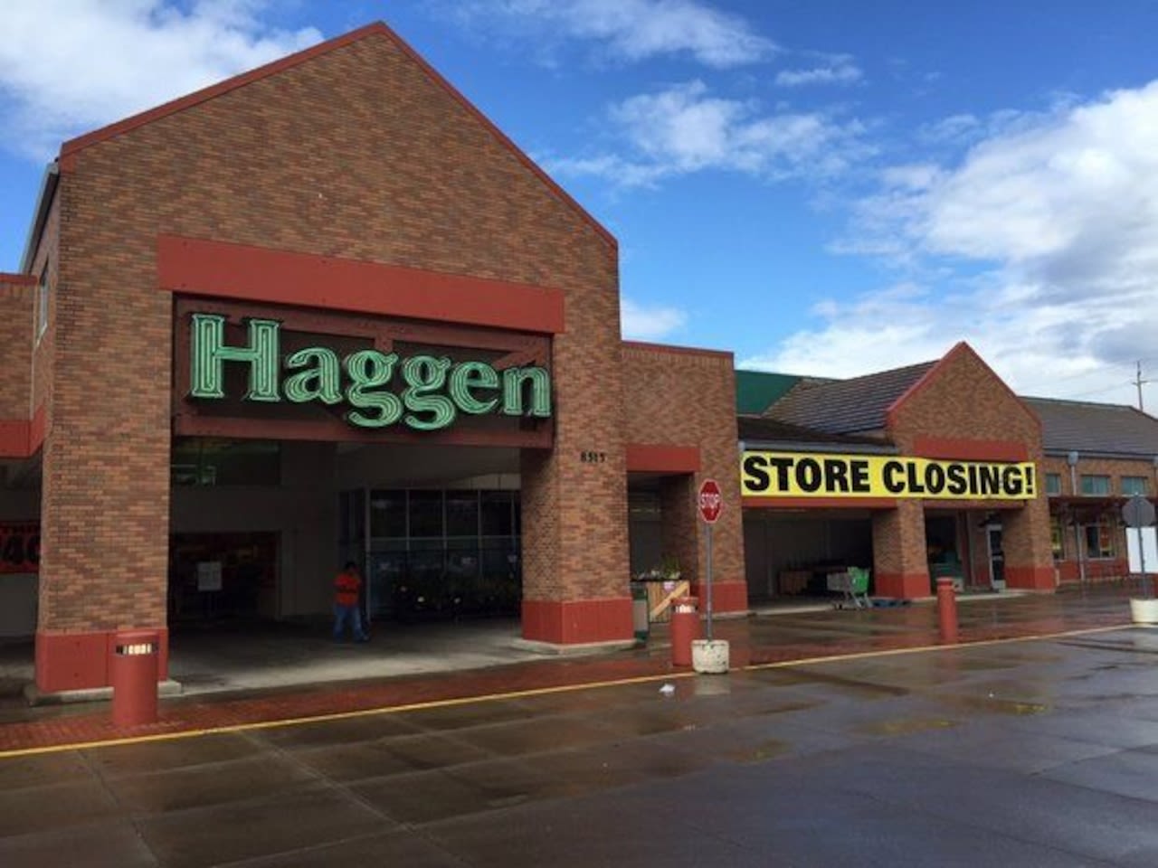 Kroger-Albertsons merger won’t repeat Haggen disaster, exec testifies