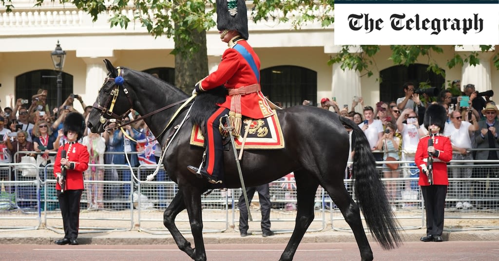 How the King’s favourite horse will show his return to strength in Trooping the Colour