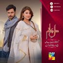 Dil-e-Jaanam (2017 TV series)
