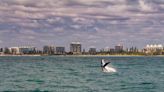 Australia's 'Humpback Highway' Takes Whale Watchers From Coastal Towns to the Great Barrier Reef