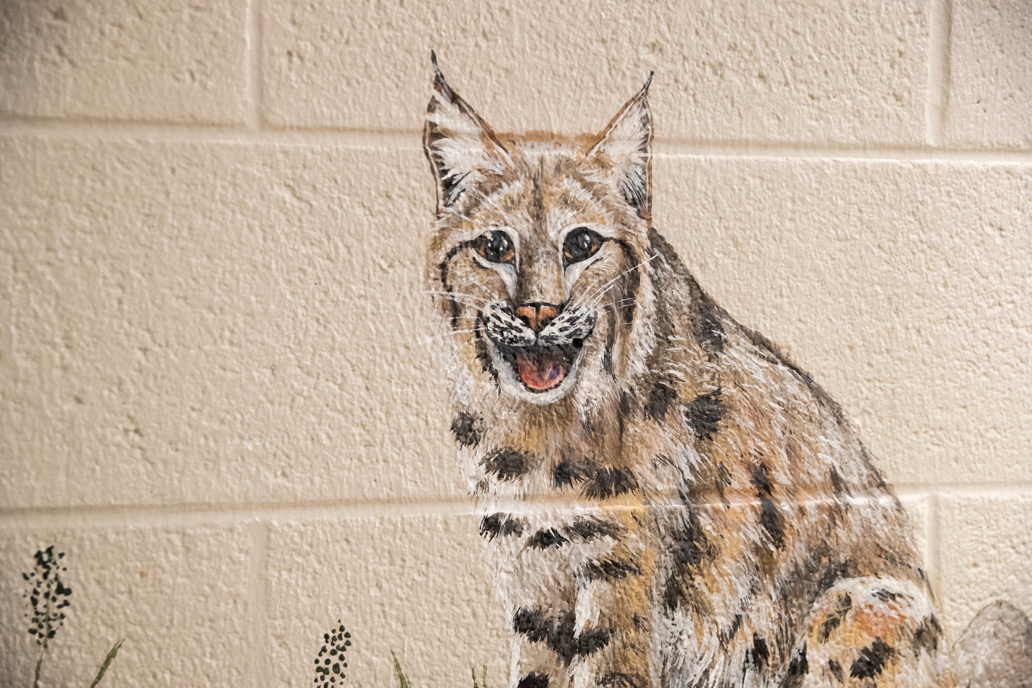 How a Memphis artist uses bobcats and ladybugs to help foster youth feel more at home