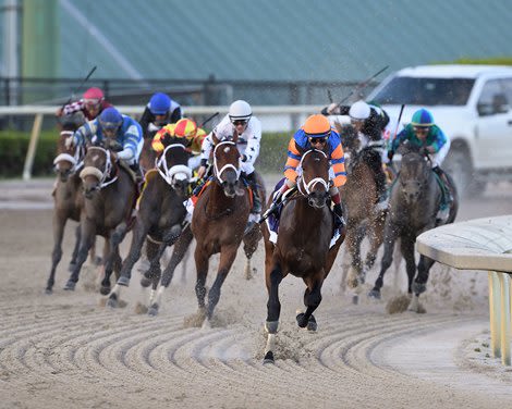 Fierceness, Sierra Leone Showdown in Kentucky Derby 150