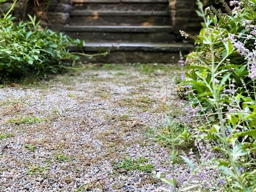 Ditch white vinegar and salt to remove gravel weeds for better household item