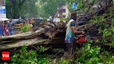 Gusty winds topple tree in Ghatkopar, one injured | Mumbai News - Times of India