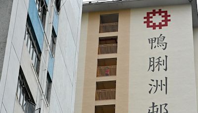 鴨脷洲邨居民被揭擁有物業 虛假陳述罪成 被收回單位