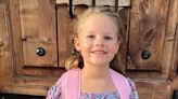 Father of 7-year-old girl allegedly killed by FedEx driver files $1M lawsuit