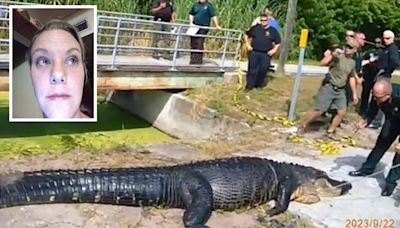 Horrifying footage shows bloated 14ft alligator that dragged homeless mother into canal and ate her