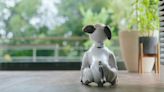 Sony推出「aibo Foster Parent」計畫，為機器狗再找一個家