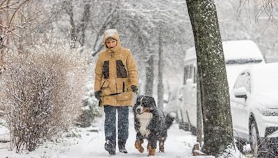 'The Old Farmer’s Almanac' Just Released the Forecast for Winter 2024-2025