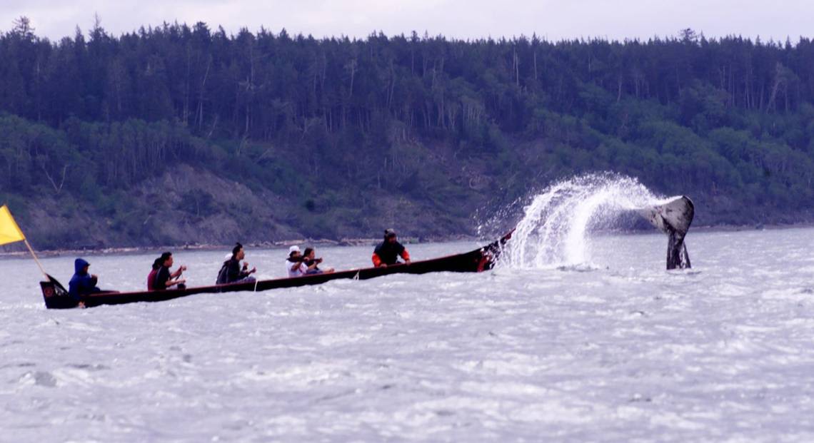 Upset the Makah get to hunt a whale? Ditch your colonialist view of wildlife | Opinion