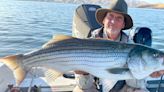Fishing report, Oct. 11-17: Trout still biting at Don Pedro, bass and catfish active at McClure Lake