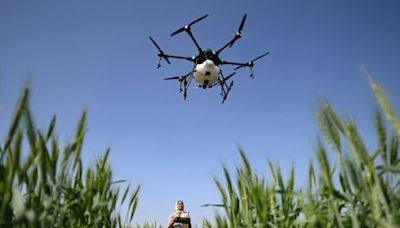 Bees, bugs, and the fight over using drones to apply pesticides in N.H. - The Boston Globe