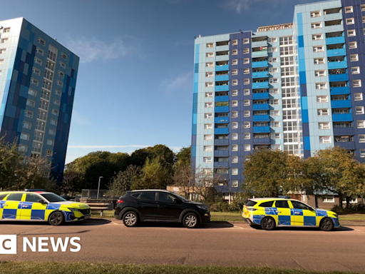 Murder arrest after three die in Luton tower block