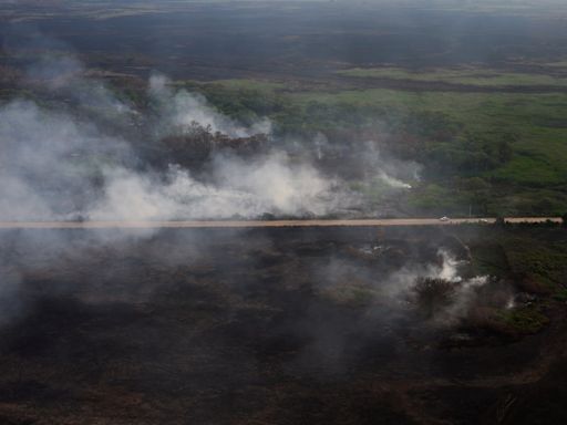 Fires in Brazilian wetlands surge 980%, extreme drought expected