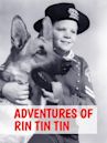 Adventures of Rin Tin Tin