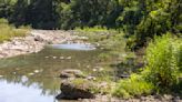 Body of South Texas 12-year-old recovered from Guadalupe River