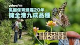 大埔鳳園保育蝴蝶20年 擁全港九成品種 擴生態版圖建「蝴蝶城市」