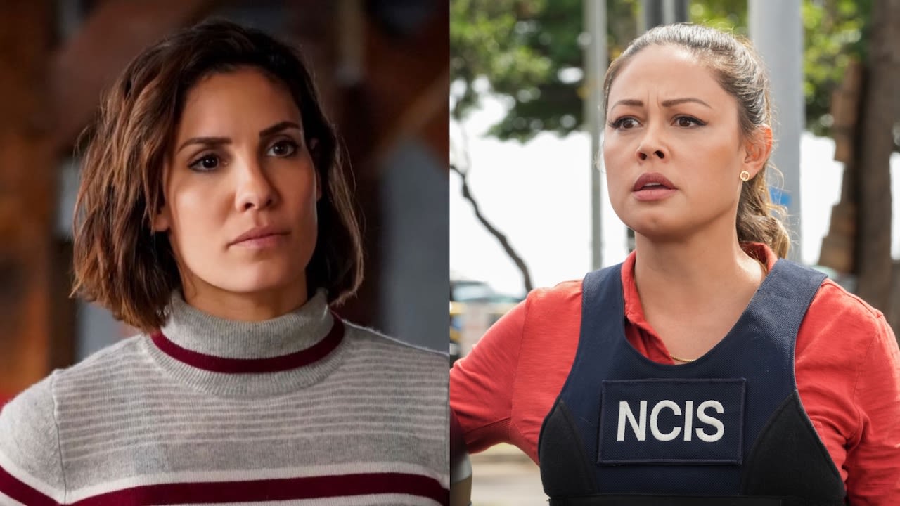Daniela Ruah Responded After Vanessa Lachey Credited Kensi For Paving The Way For An NCIS Female Lead, And It's Hitting...