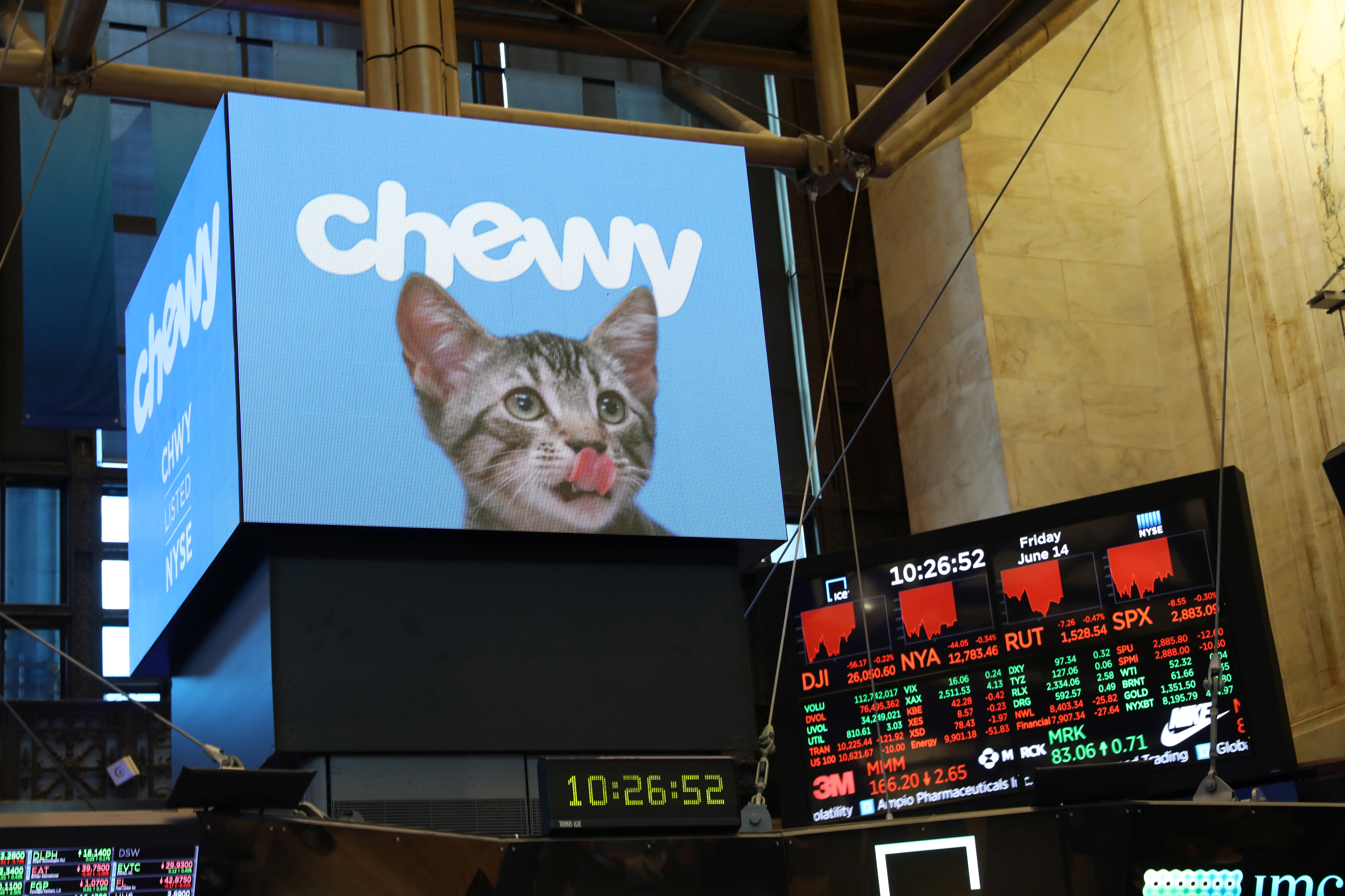 Chewy stock spikes, then retreats, after 'Roaring Kitty' posts cryptic picture of dog on X