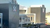 WWE Gets Extension To Respond To A Fan Injury Lawsuit - PWMania - Wrestling News