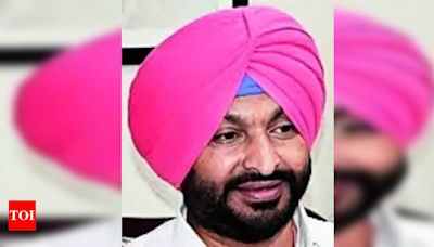 Punjab Crop Procurement Delays: Centre Claims Funds Released | Chandigarh News - Times of India