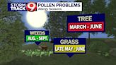 How Weather Impacts Pollen