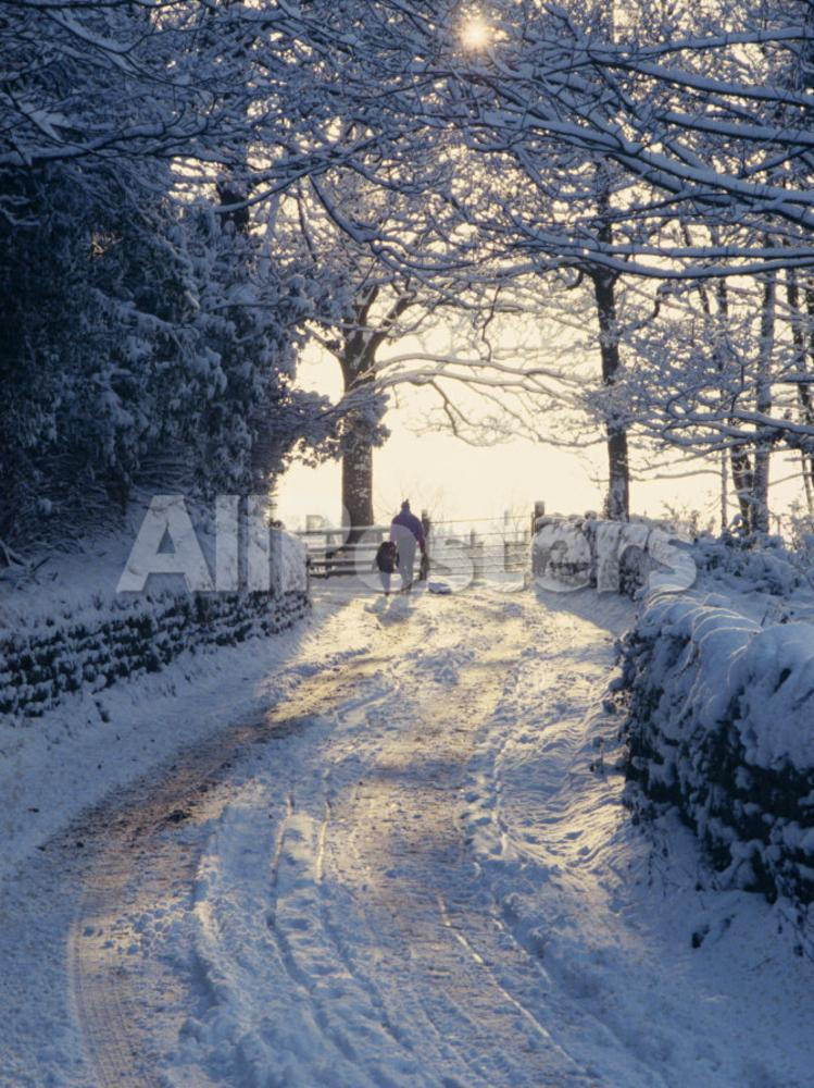 Man and Child Walking Down a Snow Covered Road in Winter Near