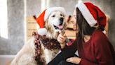 Fun Ways To Celebrate Christmas With Your Dog