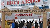 Iditarod says new burled arch will be in place for '25 race after current finish line arch collapses