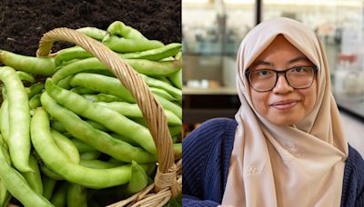 Fava beans could boost mood and ease depression, according to a scientist. She shared her 3 favorite ways to eat them.