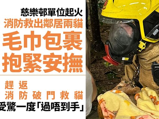 慈樂邨火警｜消防破門救兩貓抱入懷盡顯鐵漢柔情 主人：多謝佢哋