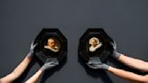 Retratos de Rembrandt vuelven a la vista pública después de casi 200 años
