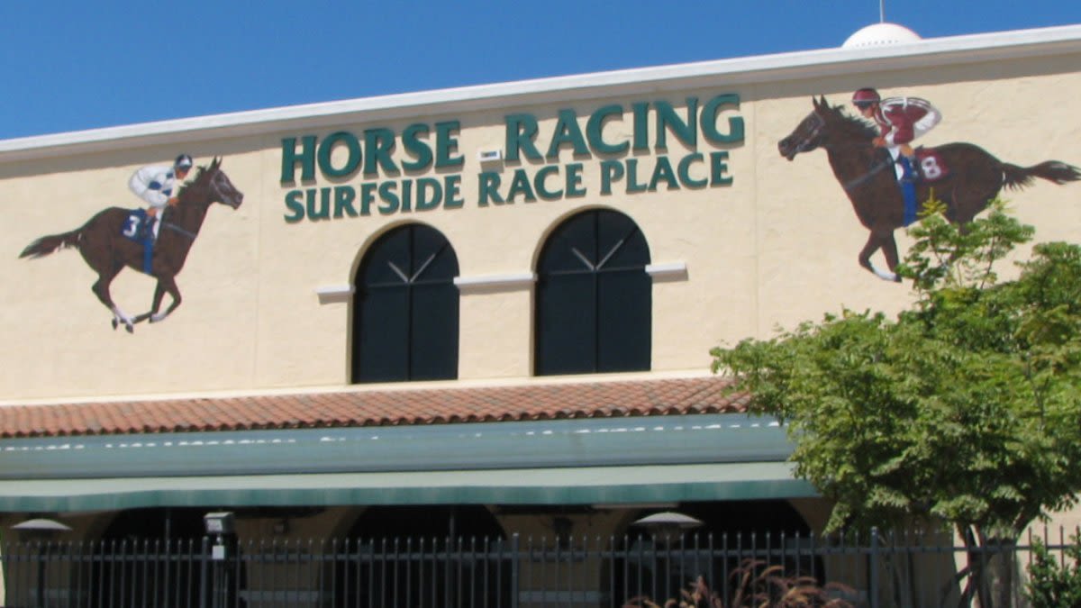 Horse collapses and dies at Del Mar, second equine death in three days