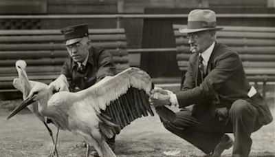 The Philadelphia Zoo turned 150. Here’s what it was like when it opened.