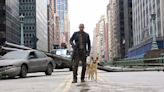 ‘I Am Legend 2’ Plot Is Inspired by ‘The Last of Us,’ Says Screenwriter