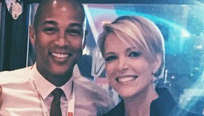 Ex-CNN Host Don Lemon Calls ‘Troll’ Megyn Kelly a Fallen Star