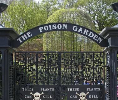 Cómo es “Poison Garden”, el jardín de Europa donde se conservan plantas más peligrosas y mortales del planeta