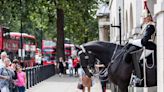 Shocking video shows tourist 'headbutted' for standing too close to King's Guard