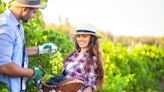 20 Largest Organic Wine Producing Countries