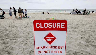 Shark Bites 46-Year-Old Man in California During Group Swim, Leaving Him with 'Significant' Injuries