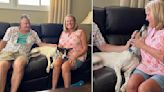 Rescue Dog Melts Into His New Family's Arms On Adoption Day