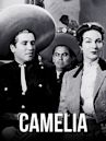 Camelia (1954 film)