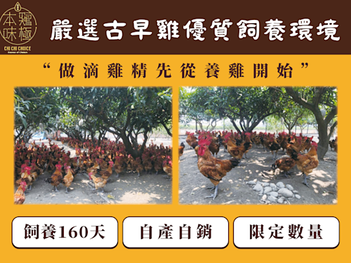 素食者有福了！「雞極本味」推出臺灣第一支大豆純素食滴雞精 營養全方位顧妥妥