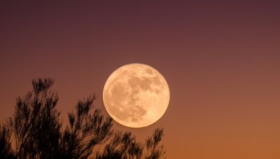 Luna llena de agosto 2024: Cuándo es, dónde verla en México; que sí y que no hacer el 19 de agosto